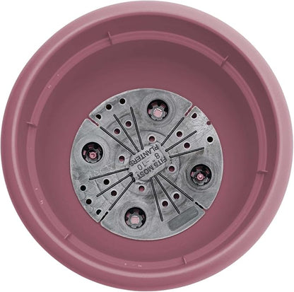 Bloem Ariana 12" Dusty Rose Round Self-Watering Resin Planter Pot - Rolled Rim Indoor and Outdoor Gardening Planter