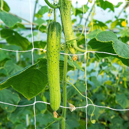 5x350ft Garden Trellis Netting - Heavy-Duty Polyester Outdoor Plant Support Netting for Climbing Plants, Vegetables and Fruits, Hydroponic Growing