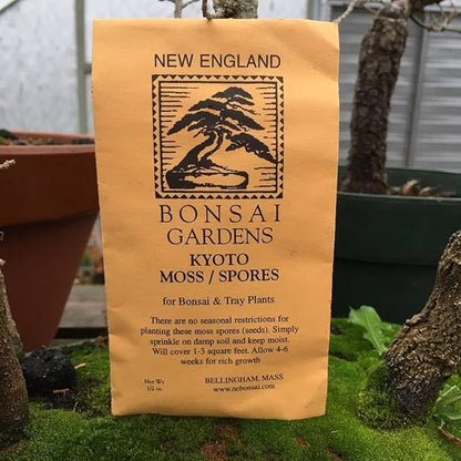 Moss Spores for Bonsai Trees - Covers Up to Three Square Feet, Bright Green Velvet Kyoto Bonsai Moss that is Weed Free, Indefinite Shelf Life