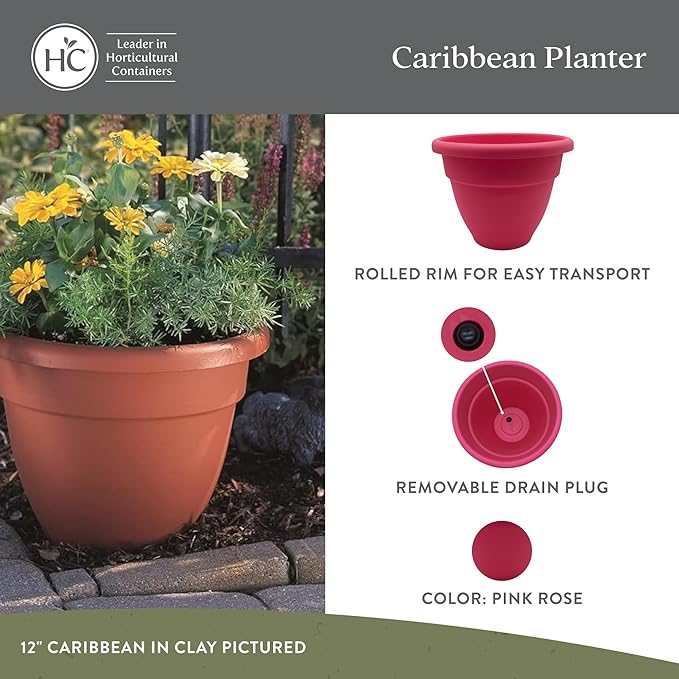 The HC Companies Caribbean Planter Pot - Outdoor & Indoor Plant Pot with Drainage Hole & Plug - Rolled Rim Plastic Pots for Plants & Flowers - Decorative Plant Pot (12" Pink Rose, Pack of 1)