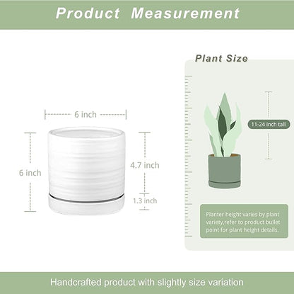 HERDUK 6 Inch Plant Pots, Ceramic Planter Pot with Drainage Hole & Saucer, Indoor/Outdoor Cylinder Round Planter Pot, Matte White