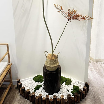 10 lbs White Gravel for Landscaping, 1-2 Inch Pebbles for Indoor Plants, Decorative River Rocks for Succulent, Vases, Aquariums, Crafting and Garden