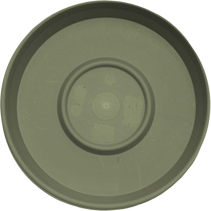 Bloem Terra Resin Saucer Tray: 11.25" Bottom Width - Matte, Durable, Ribbed Bottom, Indoor and Outdoor, Fits 14" Terra Pots, Living Green