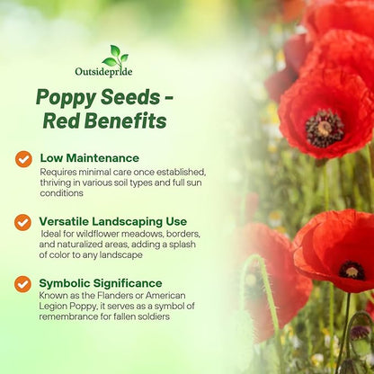 Outsidepride Red Poppy Seeds for Planting - 1/4 lb. Annual, Drought-Tolerant & Easy to Grow Wildflower Seeds with Vibrant Red Blooms for Landscaping, & Pollinator Garden