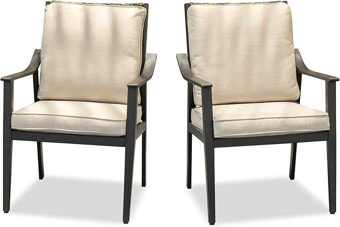 PURPLE LEAF Outdoor Dining Chairs Set of 2 All-Weather PE Rattan Patio Dining Chairs with Heavy-Duty Iron Frame and Thick Cushion Outdoor Patio Chair for Lawn Garden Backyard Deck