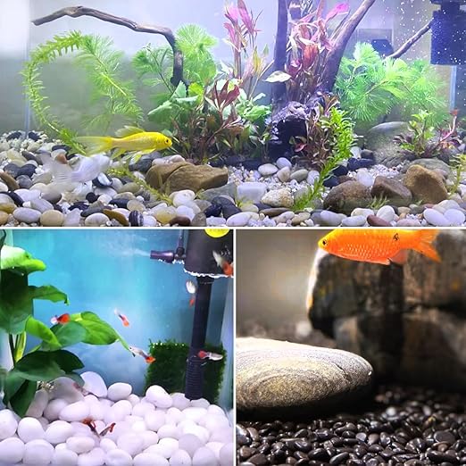 YISZM 10lbs Pebbles for Indoor Plants, 2-3 Inch Mixed Color High Polished Large River Rocks Outdoor Decorative Stones Vase Filler Fish Tank Aquariums Landscaping Garden Outdoor and Indoor DIY