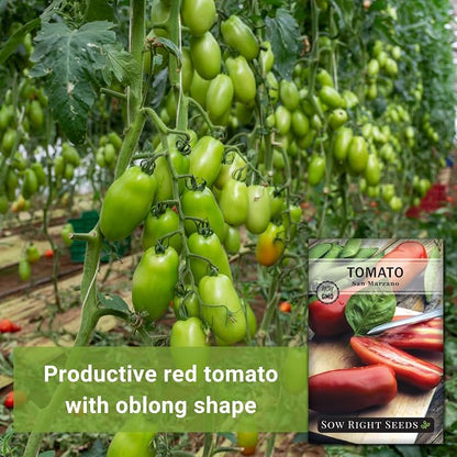 Sow Right Seeds - San Marzano Tomato Seeds for Planting - Non-GMO Heirloom Packet with Instructions to Plant a Home Vegetable Garden - Italian Classic Red Variety - Great for Sauce and Canning (2)