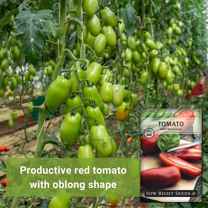 Sow Right Seeds - San Marzano Tomato Seeds for Planting - Non-GMO Heirloom Packet with Instructions to Plant a Home Vegetable Garden - Italian Classic Red Variety - Great for Sauce and Canning (1)