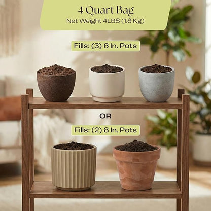 Rosy Soil Aroid Soil Mix - Chunky Biochar Potting Mix for Monstera, Philodendron, Anthurium & Tropical Plants - Peat-Free, Microbially Active, Superior Aeration & Drainage for Aroid Plants - 4 Quarts