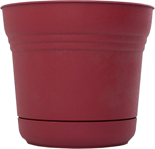 Bloem SP0512 Saturn Planter, 5-Inch, Union Red