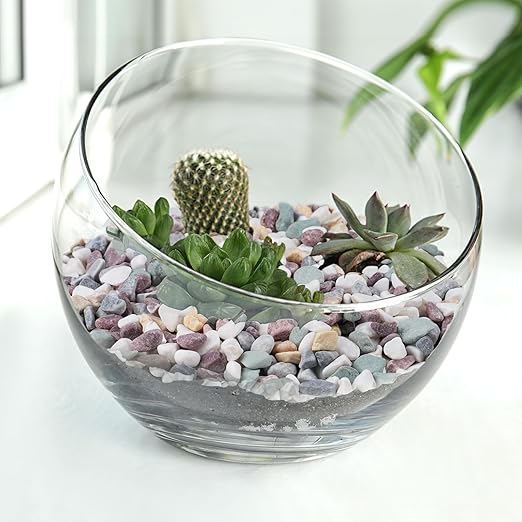 Pulovin 10 lbs Pea Gravel for Plants, Aquarium, Fish Tank, 3/8 inch Decorative Pebbles for Indoor Plants, Succulent, Bamboo, Vase, Drainage Rocks for Potted Plants, Top Dressing, Mixed Color