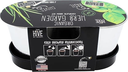 BUZZY Seeds Kitchen Herb Garden Kit with 2-Pot Metal Planters with Plant Markers, Organic Basil and Chive Seeds, Coconut Husk Growing Medium, Indoor Countertop Gardening Gift
