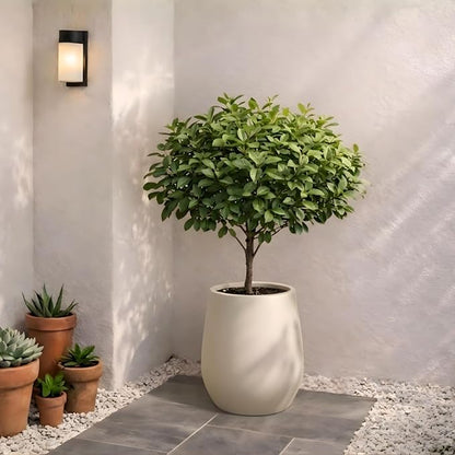 KUTE NEST 12.5" H x 11.4" D Premium Corso Fiberstone Round Tapered Planter with Drainage Hole, Smooth Finishes, Weather Resistant, Included 2 Extra Coco Mats (Kilim Beige, 9" Pot Opening)