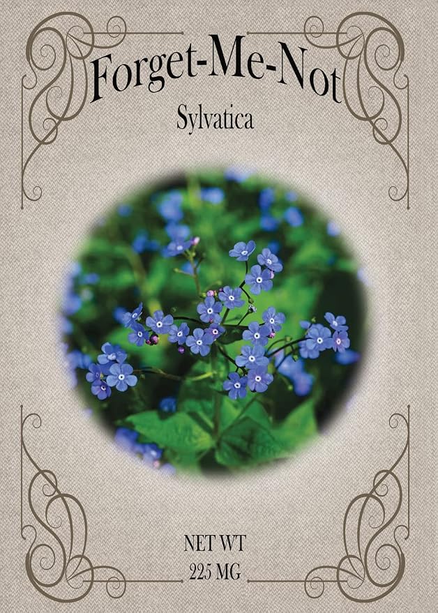 Set of Flower Seed Packets! Flower Seeds in Bulk - Great for Creating the Garden of Your Dreams! (100, Forget-Me-Not Blue)