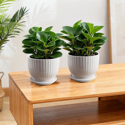 Ceramic Plant Pots,6.7 Inch,Set of 2,Planters with Drainage Hole and Saucer,Flower pots for Indoor Plants,Modern Design(Pure White,2 Pack)