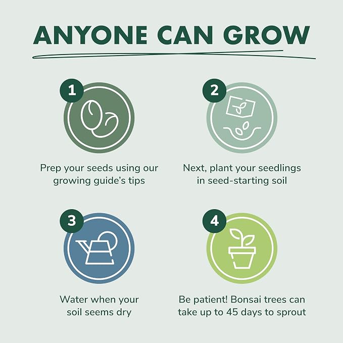 Garden Republic Bonsai Tree Kit - Mini Bonsai Seeds, 3 Types - for Indoor Plant Growing - Starter Kit with Seeds, Soil, Planters & Shears