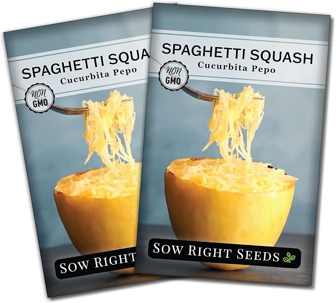 Sow Right Seeds - Spaghetti Squash Seeds for Planting - Non-GMO Heirloom Packet with Instructions to Plant and Grow an Outdoor Home Vegetable Garden - Roast and Enjoy Eating This Favorite Variety (2)