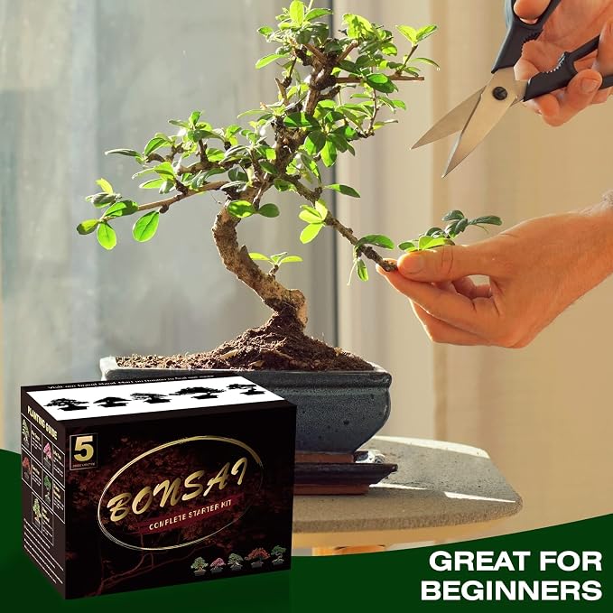 Bonsai Tree Kit with Complete Growing Tools, Grow in Pot Indoor Bonsai Tree Starter Kit, Great Home Gardening DIY Gift for Adult