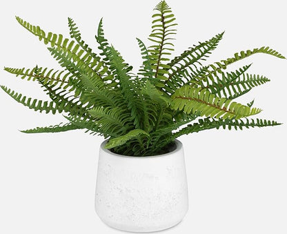 Uttermost 60238 Boston Fern - Ceramic Pot-14 Inches Tall and 14 Inches Wide