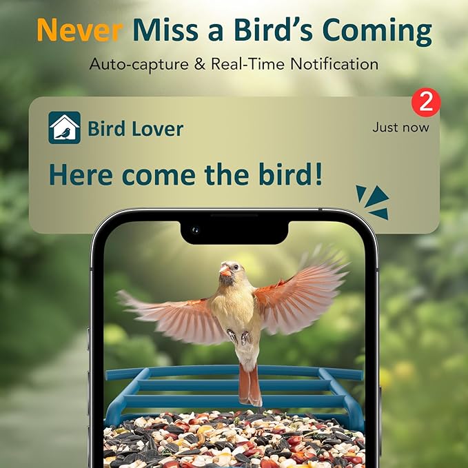 BIRDLEGEND® BL01 Bird Feeder with Camera Solar Powered, Free AI Smart Camera Bird Feeder with 64GB Card DIY Add-ons 1080P Live Auto Capture Videos Pictures, Gifts for Birdlover Mom Dad, 2.4GHz WiFi