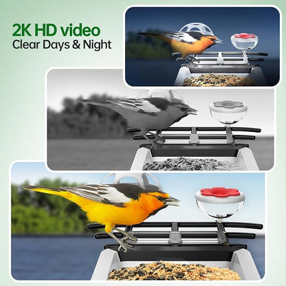 Smart Bird Feeder with Camera - 2K HD Live View, AI Identification & Instant Alerts, Weatherproof for Outdoors, 2.4GHz WiFi Solar Powered Smart Feeder for Bird Lovers