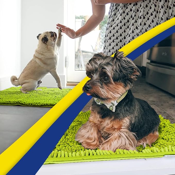 Muddy Mat® | Super Water Absorbent Door Mat Indoor, Microfiber Quick Dry Chenille Entryway Rug,Slip Resistant Front Door Mat,Indoor Mats for Entryway,Machine Washable Pet Rug, Spring Green 30" x 60"