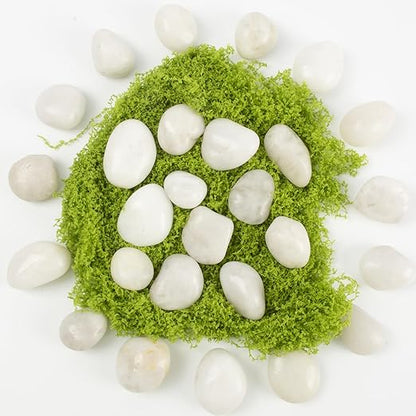 Natural White River Pebbles - LOOIOOJ 20 Lbs Polished Decorative Rocks, 0.5-1 inch, for Aquariums, Gardens, and Indoor Plant Drainage (White, Weight: 20 LB)
