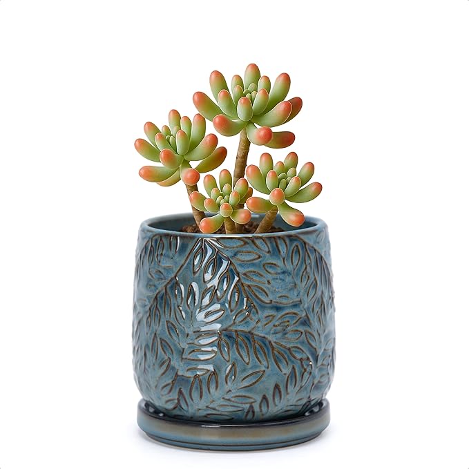 D'vine Dev 4 Inch Embossed Leaves Stoneware Planter Pot with Drainage Hole and Saucer, Ocean Teal, 27-A-Z-8
