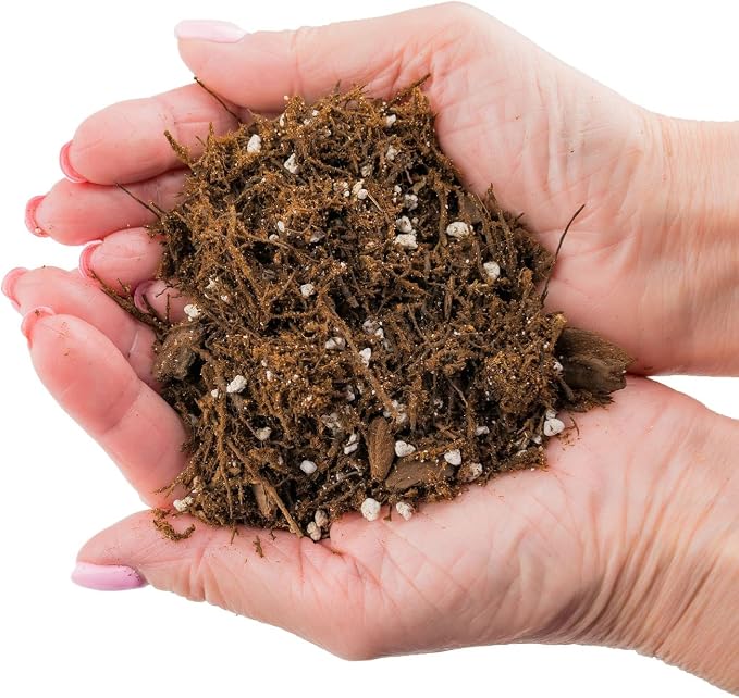 Premium Gardenera House Plant Potting Mix - 10 Quart - Fern + New Zealand Bark + Perlite | Great for Pothos, Spider Plants, Montsera, Philodendron, English Ivy (2 Bags of 5 Quart)