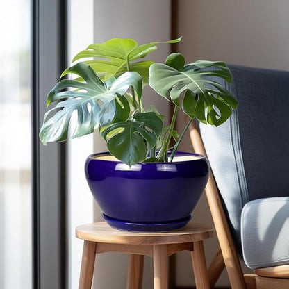 Ceramic Pot for Plants - 11 Inch Modern Round Indoor Planter with Drainage Hole and Planter Saucer for Flowers, Patio Office Home Room Decor, Gardening Gifts for Women & Men, Blue