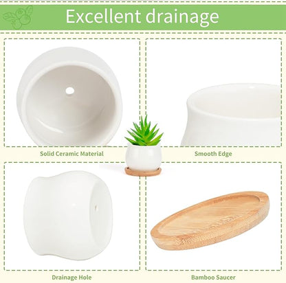 SHECIPIN Succulent Pots, White Mini 2.5 inch Ceramic Flower Planter Pot with Bamboo Tray, Pack of 12 - Plants Not Included