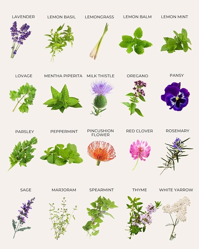 Tactiko Survival 40 Medicinal and Tea Herb Seeds Variety Pack, Indoor and Outdoor Herb Garden Kit, USA Grown Heirloom Non-GMO, Herbal Apothecary for Teas, Resealable Mylar for Long-Term Storage