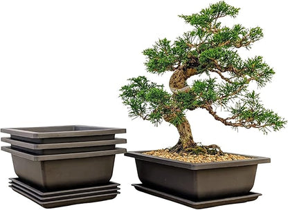 Tinyroots Bonsai Pots with Humidity Trays - Training Planters, Built in Mesh, 6-inch and 8-inch