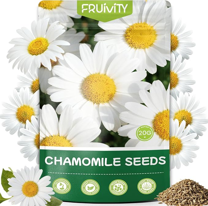 2300+ German Chamomile Seed Pack, Perennial Seeds for Planting, Herb Seed to Plant, Easy to Grow, High Germination, for Home Garden Indoor Outdoor