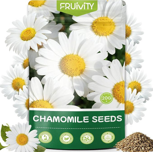 2300+ German Chamomile Seed Pack, Perennial Seeds for Planting, Herb Seed to Plant, Easy to Grow, High Germination, for Home Garden Indoor Outdoor