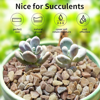 10 LB Natural Pea Gravel Small Pebbles - 3/8 Inch Decorative Pebbles for Indoor Plants,Terrarium Rocks, Outdoor Decorative Rocks, Vase, Succulent Rocks, Aquarium Gravel and Landscaping Rocks