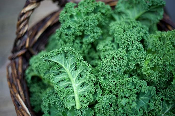 Seeds Vegetable Kale Cabbage Green - 150 Seeds