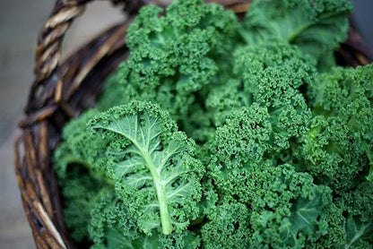 Seeds Vegetable Kale Cabbage Green - 150 Seeds