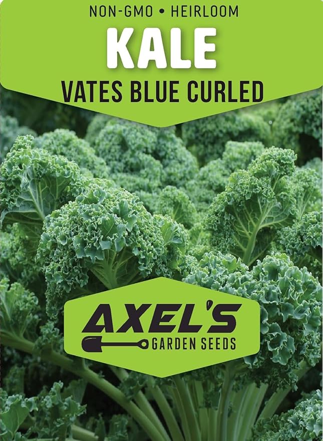 Curled Blue Kale Seeds for Planting – Plant & Grow Heirloom Non-GMO Curled Blue Vates Kale Home Outdoor Vegetable Garden, Brassica oleracea VAR. acephalla – 3 Packets