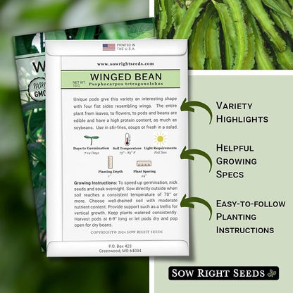 Sow Right Seeds - Winged Green Bean Seeds for Planting - Non-GMO Heirloom Pole Bean Variety - Grow Your Own Fresh, Nutritious Green Beans - Ideal for Gardens & Containers - Abundant Harvest (1)