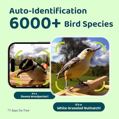 Birdfy Smart Bird Feeder with Camera&Metal Guard, Bamboo Wood Outdoor Design, AI Bird Recognition, 1080P HD & Night Vision, Solar Powered, Weatherproof, 3.5L Capacity, Ideal Gift for Nature Lovers
