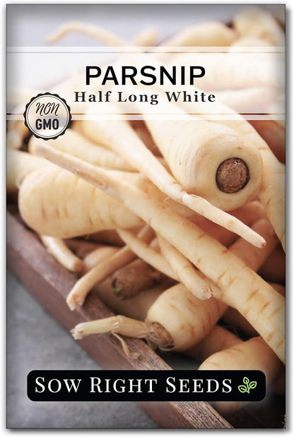 Sow Right Seeds - Half Long White Parsnip Seeds for Planting - Non-GMO Heirloom Packet with Instructions to Plant an Outdoor Home Vegetable Garden - White Flesh Root Parsnip - Spring and Fall (1)