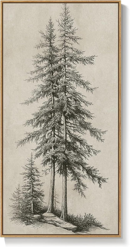 Framed Vertical Vintage Sketch Tree Living Room Wall Art, Large Black Beige Rustic Pine Artwork for Walls, Classic Antique Nature Forest Canvas Painting Print for Office Kitchen Foyer Stair 20x40 Inch