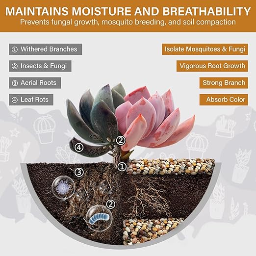 NUPICK 3lb River Rocks for Plants Indoor, 1/5 Inch Mixed Pebbles for Vase Fillers, Decorative Pea Gravel for Fish Tank, Natural Polished Stones for Succulent, Bonsai, Landscaping, Bird Baths