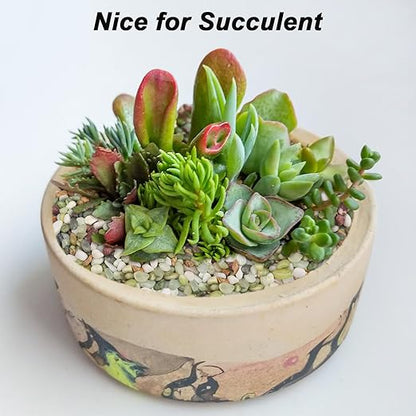 River Rocks,Landscaping Pebbles,Decorative Ornamental Pebbles,Garden Landscaping Stones,Gravel Filler for Home Decoration Flower Bed Fish Tank Plants Vases Succulents (1, Green, 5 Pounds)