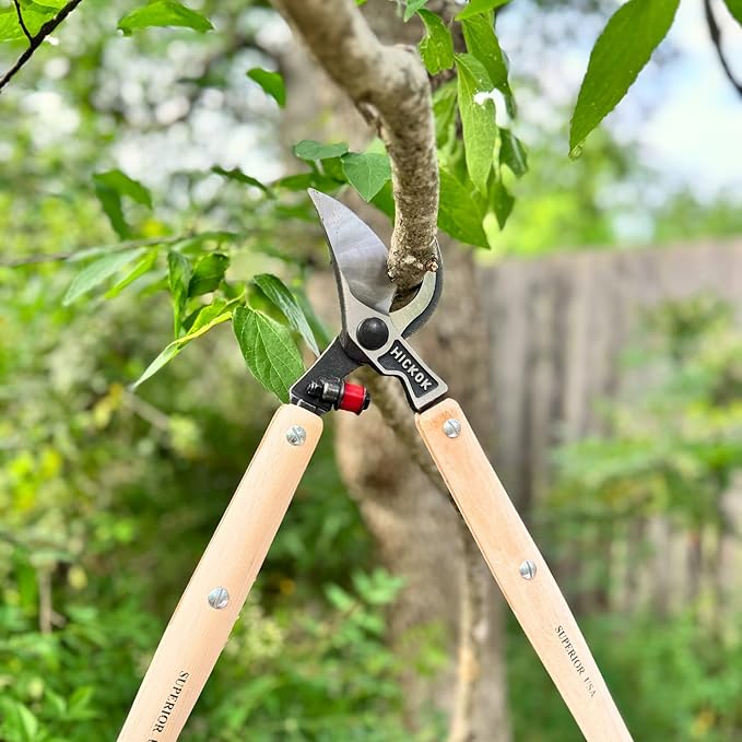 Heavy Duty Tree Lopper – 26" Professional Tree Branch Cutter with Hickory Wood Handles | Commercial Tree Pruner Made in USA