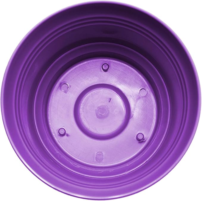 Bloem Saturn 12" Royal Lilac Round Resin Planter Pot with Snap-in Saucer for Indoor and Outdoor Gardening