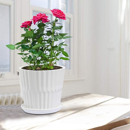 sietpoek Plant Pots - 6.7 Inch Cylinder Ceramic Planters with Connected Saucer, Pots for Succuelnt and Little Snake Plants, Set of 2, White