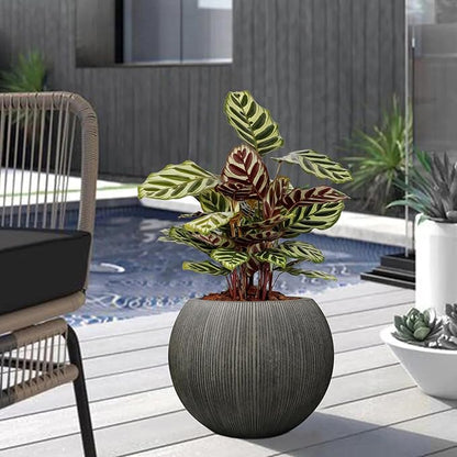 11.8" H X 14.5" D Round Plastic Planter with Drainage Hole & Plug, Large Lightweight Plant pot ,Recyclable ,Durable, Weather/UV Resistant for Indoor Outdoor, (8.9" Opening), Vintage Black