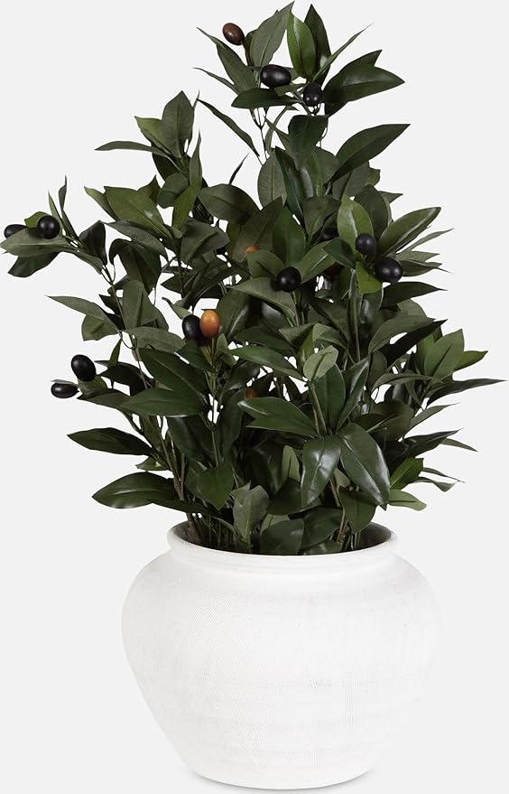 Uttermost 60236 Elena Olive - Centerpiece-28 Inches Tall and 20 Inches Wide